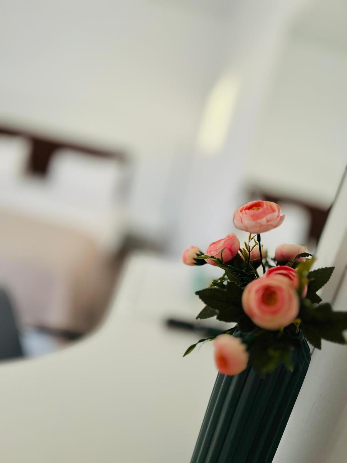 Hotel Casa Irina 2Mai Două Mai Zewnętrze zdjęcie